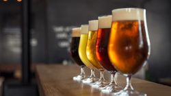 Explora l'Univers dels Tasts de Cerveses amb B-Grup