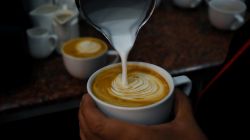 Quin és el millor cafè per a l’hostaleria?