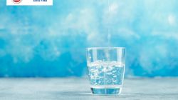 Si necessita comprar aigua mineral a l’engròs, tenim moltíssim per a oferir-li 