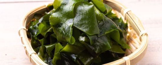 Alga Wakame