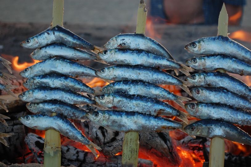 El peix blau, un producte que forma part de la dieta mediterrània