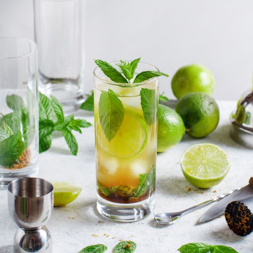 Mojito bebidas alcohólicas para restaurantes BGrup