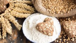 B-Grup, distribuidores de productos sin gluten al por mayor