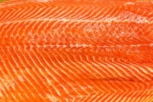 salmon salmon