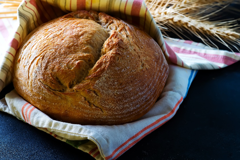 pan recién hecho Comprar harina para hacer pan con B Grup BGRUP