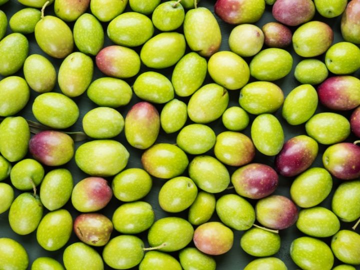 aceitunas para restaurante al por mayor