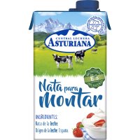 Nata Asturiana Montar 35% M.g. Brik 500 Ml - 10712