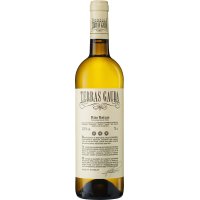 Vino Terras Gauda Albariño 12.5º 75 Cl - 1120