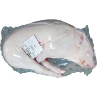 Cochinillo Segonillo Segoviano 5-6 Kg Congelado - 14484
