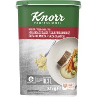Salsa Knorr Holandesa Clasica Deshidratada Bote 825 Gr - 15395