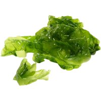 Alga Laduc Lechuga De Mar Congelada 2.3 Kg - 15777