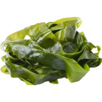 Alga Laduc Wakame Congelada 2.3 Kg - 15779