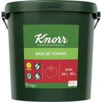Salsa Knorr Base De Tomate Deshidratado Cubo 9 Kg - 16197
