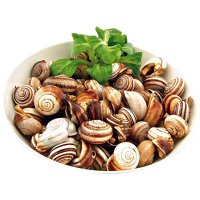 Caracol Pamor Cabrilla En Agua Refrigerado Bandeja 1.3 Kg - 19574