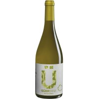 Vi Güertana Sauvignon Blanc Blanc Jove 12º 75 Cl - 34141