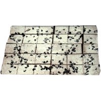 Pastel Pastiolot Plancha Selva Trufa Congelado 1.8 Kg 30 Raciones - 36666