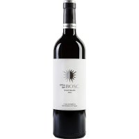 Vi Rendé Masdeu Peu Del Bosc Negre 2020 14.5º 75 Cl - 44158