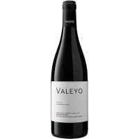 Vi Valeyo Negre Cosecha 2021 13º 75 Cl - 44911