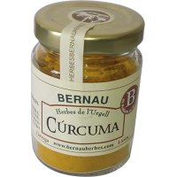 Cúrcuma Bernau Pot 45 Gr - 46552