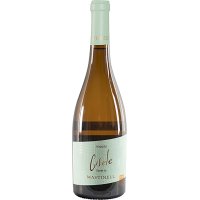 Vi Mastinell Gisele Blanc 2021 12.5º 75 Cl - 48006