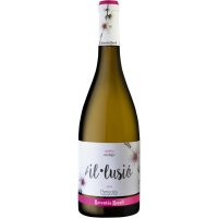 Vi Raventós Rosell Il.lusió Blanc 12.5º 75 Cl - 48025