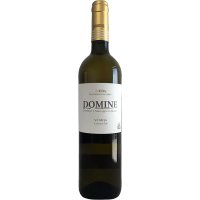 Vino Thesaurus Domine Blanco Verdejo 11º 75 Cl - 61942