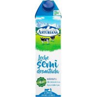 Leche Asturiana Semi Brik 1 Lt - 6792