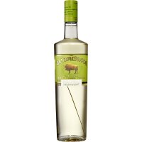 Vodka Zubrowka 40º - 81245