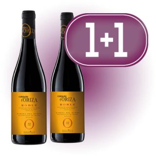 MODULO 1+1 ORIZA ROBLE