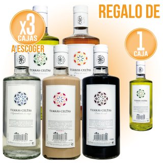 MODULO 3+1 ORUJOS TERRAS CELTAS