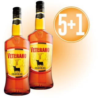 MODULO 5+1 VETERANO