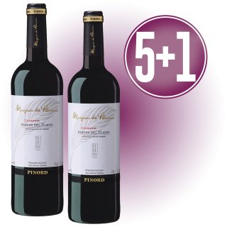 MODULO 1+1 MARQUES DE PLUMA TINTO COSECHA