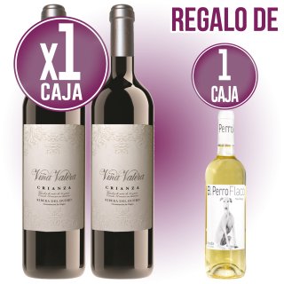 MODULO 6 VIÑA VALERA+ 1 PERRO FLACO