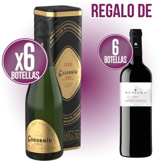 MODULO 1 CODORNIU ED LIM. 150 ANIV + 1 NUVIANA