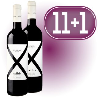 MODULO 11+1 EXIBIS JOVEN TINTO