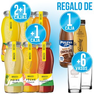 MODULO 2+1 RAUCH+ VASOS+ CACAOLAT O PULEVA