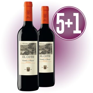 5 CAJAS COTO CRIANZA TINTO 3/4 (6 U) + 1 DE REGALO