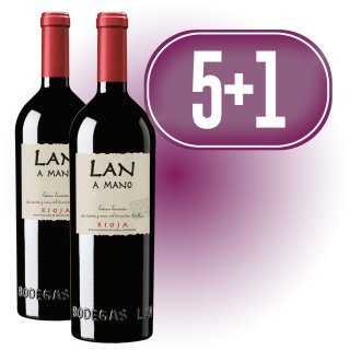 MODULO 5+1 LAN FET A MA 2020