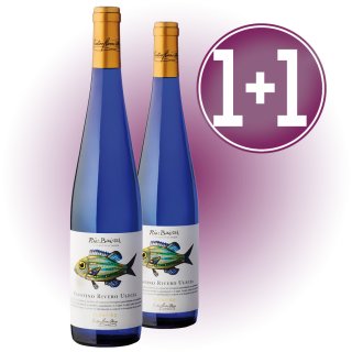 MODULO 1+1 FAUSTINO RIVERO ALBARIÑO