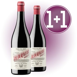 MODULO 1+1 VALDERIVERO ROBLE