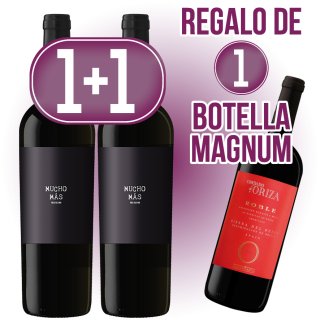 MODULO 1+1 MUCHO MAS ET NEGRA + 1 MAGNUM ORIZA ROB