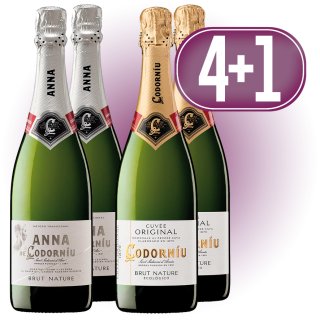 MODULO 4+1 CAVA CODORNIU