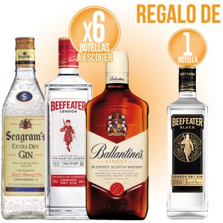 PER 6 LICORS PERNOD A ESCOLLIR, REGAL 1 GIN BEEFEATER BLACK.