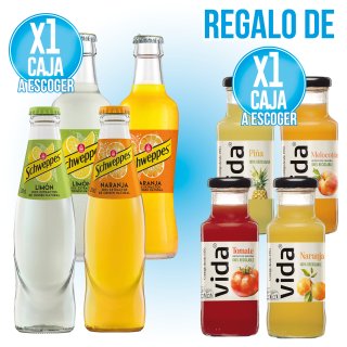 1 SCHWEPPES CITRICO 200/275 RETORNABLE + REGALO 1 ZUMO VIDA