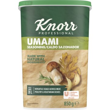 Condiment Knorr Umami Deshidratat Pot 850 Gr
