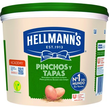 Mayonesa Hellmann's Pinchos Y Tapas Cubo 5 Kg