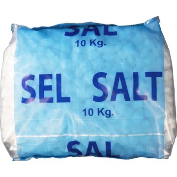 Sal Enisal Pastilles Sac 10 Kg