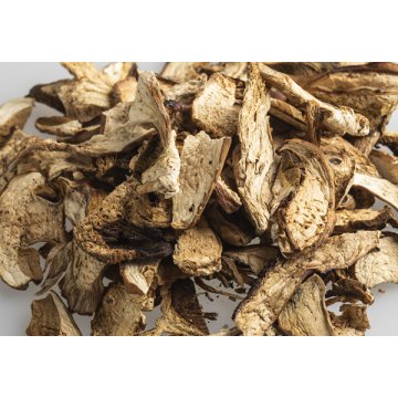 Ceps Campanillo Troceado Deshidratado Congelado 2 Kg