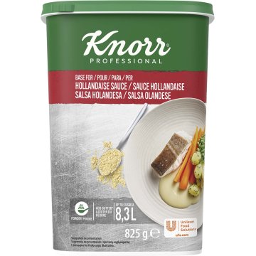Salsa Knorr Holandesa Clasica Deshidratada Bote 825 Gr