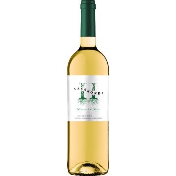 Vi Casahonda Blanc 13º 75 Cl